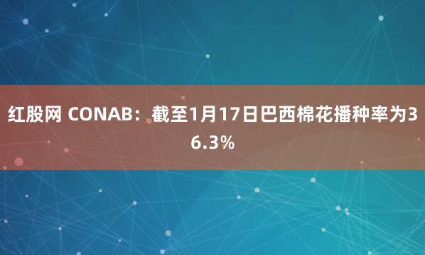 红股网 CONAB：截至1月17日巴西棉花播种率为36.3%