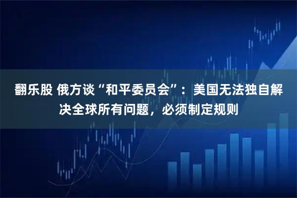 翻乐股 俄方谈“和平委员会”：美国无法独自解决全球所有问题，必须制定规则